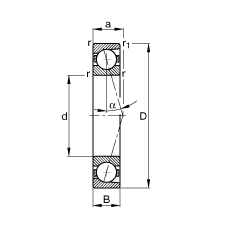 SS B7019-C-T-P4S, {(dio)(ji)Ɍb|  = 15ƹ